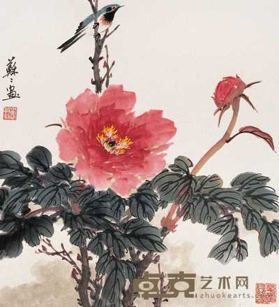 乔苏苏 牡丹小鸟 镜心 47×43cm